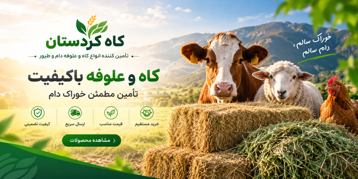 de015e27-b213-44b2-a018-14be0c73a844 خرید کاه